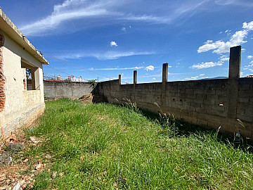 Terreno - Venda - Vila Amália (zona Norte) - São Paulo - SP